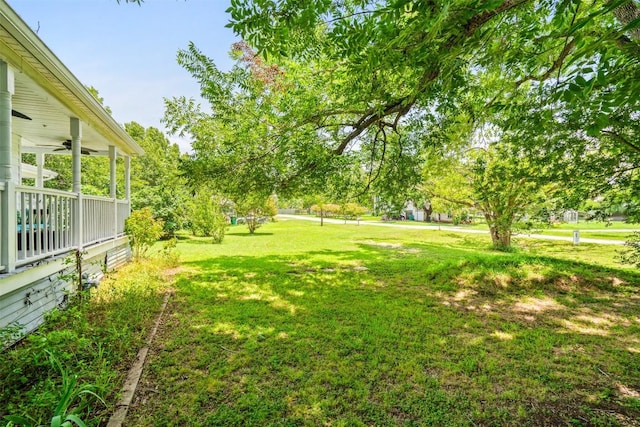 400 W Salty St, Thorndale, TX 76577 - photo 36