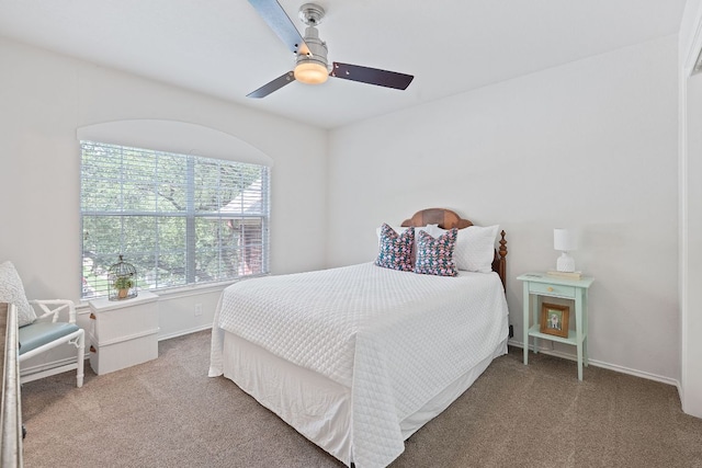 4005 Callabero Cv, Round Rock, TX 78681 - photo 28