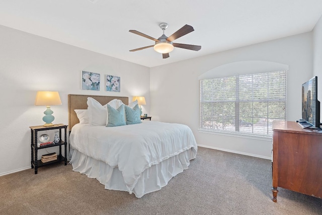 4005 Callabero Cv, Round Rock, TX 78681 - photo 30