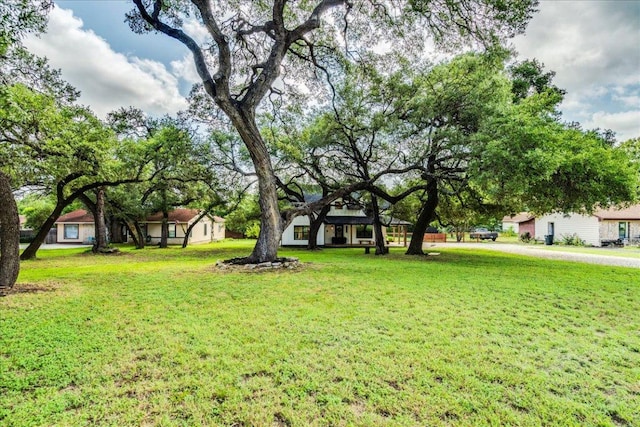 12623 Red Bud Trl, Buda, TX 78610 - photo 34