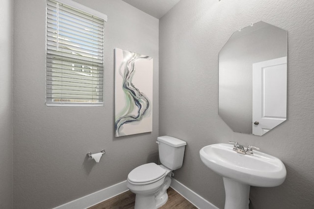 715 Gray Fox Loop, Hutto, TX 78634 - photo 28