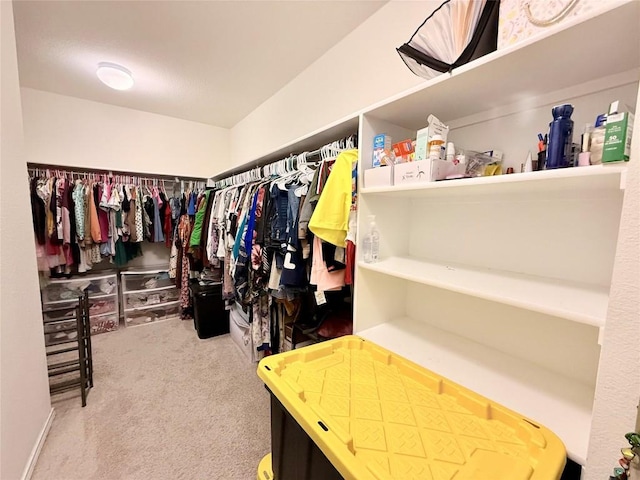 6805 Horseshoe Pond Dr, Del Valle, TX 78617 - photo 14
