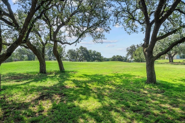 713 Sunfish St, Lakeway, TX 78734 - photo 8