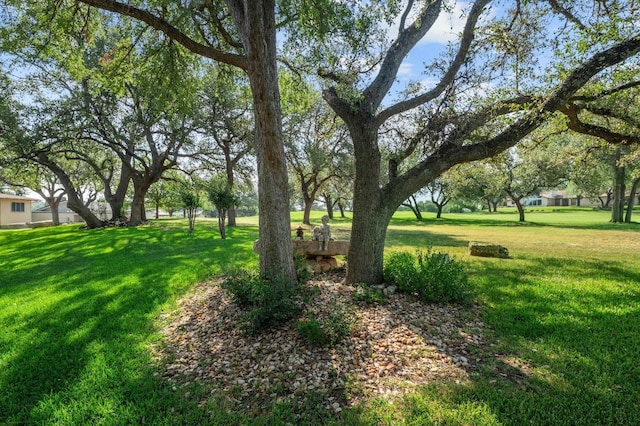 713 Sunfish St, Lakeway, TX 78734 - photo 13