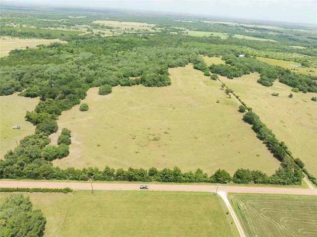 TBD Stryk Rd, Flatonia, TX 78941 - photo 3