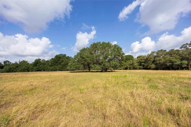 TBD Stryk Rd, Flatonia, TX 78941 - photo 6
