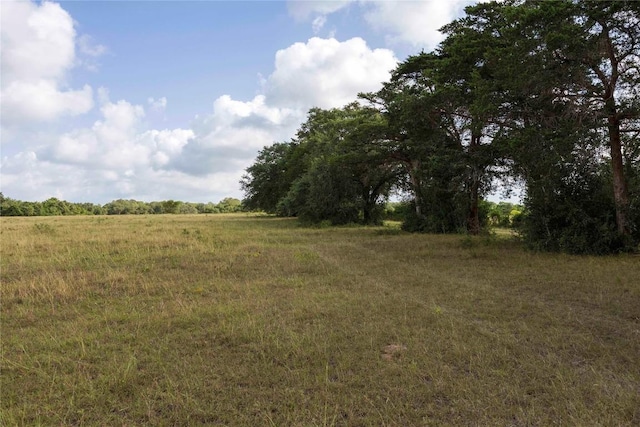 TBD Stryk Rd, Flatonia, TX 78941 - photo 7