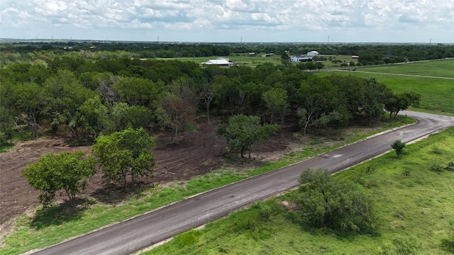 LOT1-TBD Tatum Rd, Martindale, TX 78655 - photo 4
