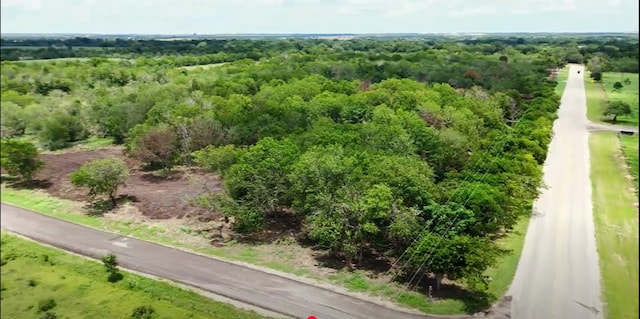 LOT1-TBD Tatum Rd, Martindale, TX 78655 - photo 10