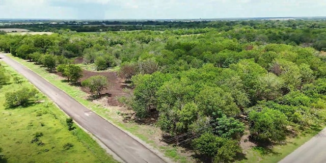 LOT1-TBD Tatum Rd, Martindale, TX 78655 - photo 11