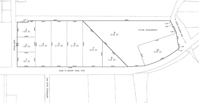 LOT1-TBD Tatum Rd, Martindale, TX 78655 - photo 13