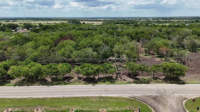 LOT4-TBD Fm 1979th Rd, Martindale, TX 78655 - photo 5