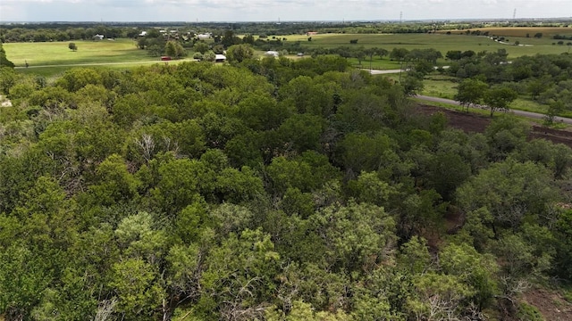 LOT4-TBD Fm 1979th Rd, Martindale, TX 78655 - photo 9