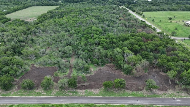 LOT4-TBD Fm 1979th Rd, Martindale, TX 78655 - photo 2