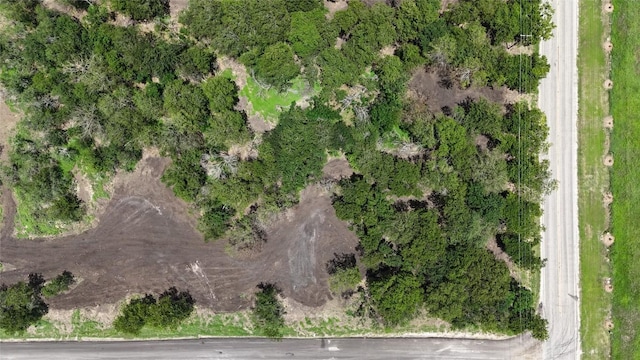 LOT4-TBD Fm 1979th Rd, Martindale, TX 78655 - photo 3