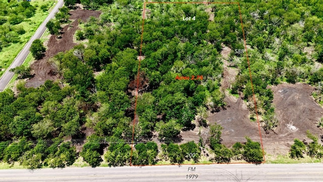 LOT4-TBD Fm 1979th Rd, Martindale, TX 78655 - photo 1