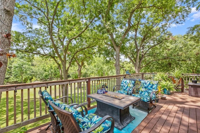 441 County Road 135, Hutto, TX 78634 - photo 26