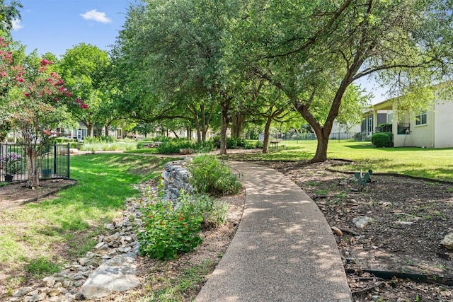 121 Larkspur Ln, Georgetown, TX 78633 - photo 26
