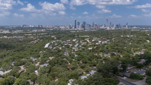 2504 Briargrove Dr, Austin, TX 78704 - photo 33