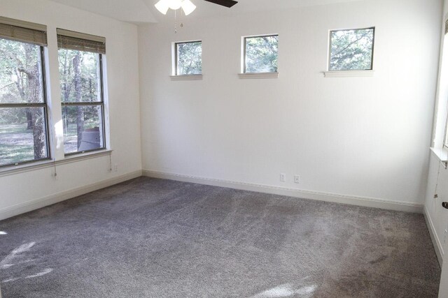 117 Hornsby Trl, Bastrop, TX 78602 - photo 11