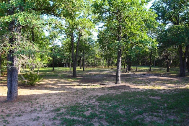 117 Hornsby Trl, Bastrop, TX 78602 - photo 31