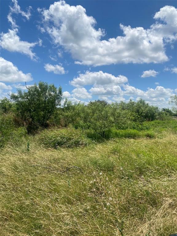 265 County Road 3535th Rd, Valley Mills, TX 76689 - photo 16