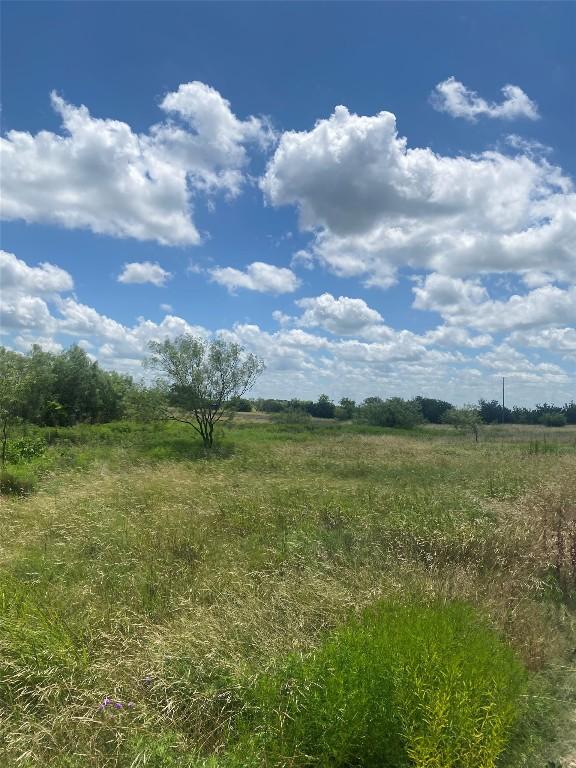 265 County Road 3535th Rd, Valley Mills, TX 76689 - photo 17
