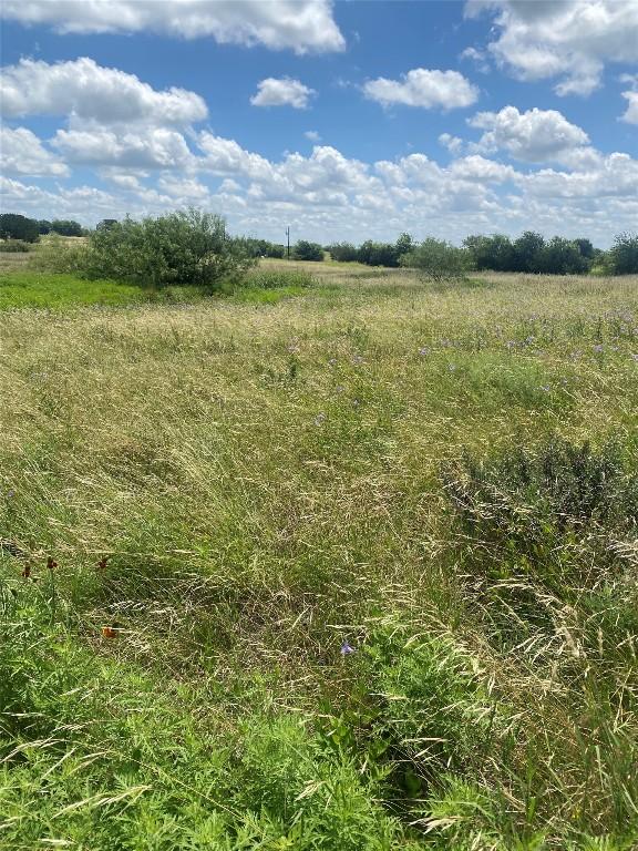265 County Road 3535th Rd, Valley Mills, TX 76689 - photo 18