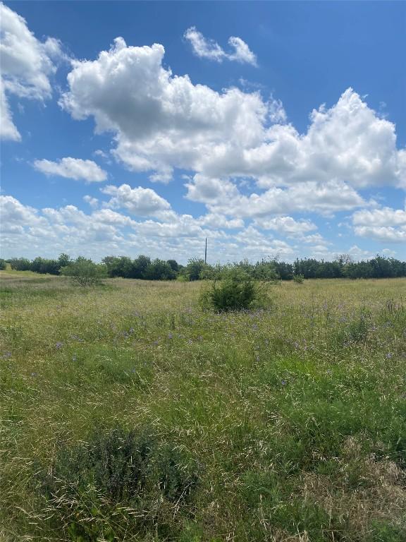 265 County Road 3535th Rd, Valley Mills, TX 76689 - photo 19