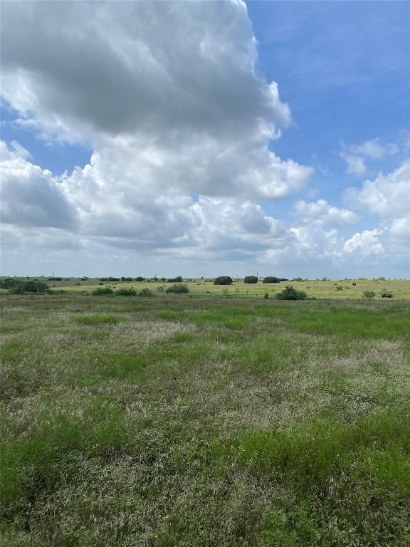 265 County Road 3535th Rd, Valley Mills, TX 76689 - photo 28