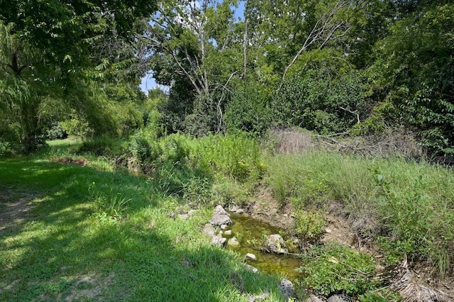 500 Hesters Crossing Rd Unit 411, Round Rock, TX 78681 - photo 30