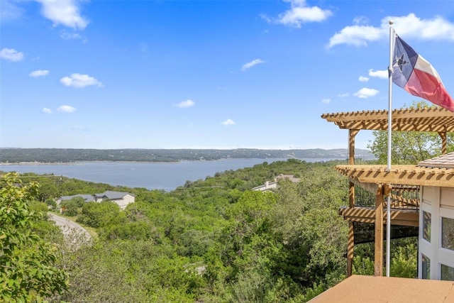4007 Eck Ln, Austin, TX 78734 - photo 30