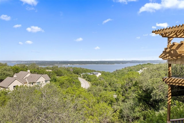 4007 Eck Ln, Austin, TX 78734 - photo 31