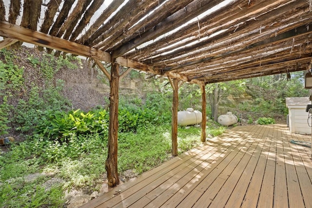 4007 Eck Ln, Austin, TX 78734 - photo 39