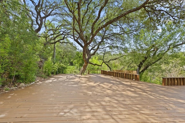 4007 Eck Ln, Austin, TX 78734 - photo 8