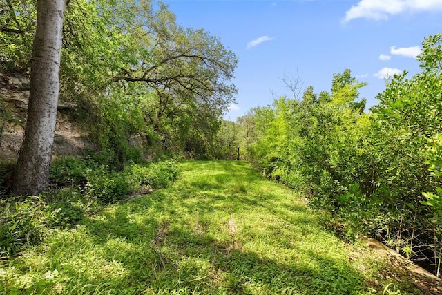 4007 Eck Ln, Austin, TX 78734 - photo 40