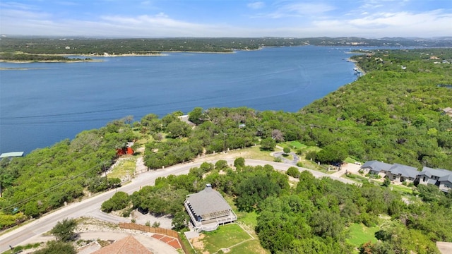3907 Eck Ln, Austin, TX 78734 - photo 5