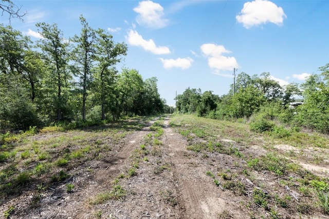 716 Cumley Ln, Thorndale, TX 76577 - photo 4