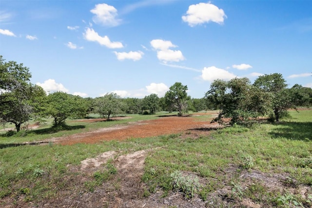 716 Cumley Ln, Thorndale, TX 76577 - photo 6