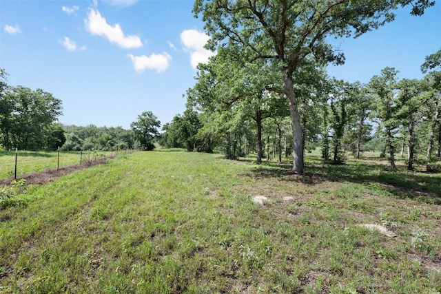 716 Cumley Ln, Thorndale, TX 76577 - photo 10