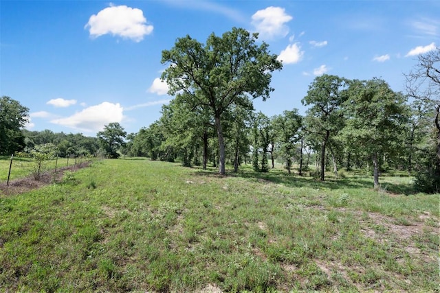 716 Cumley Ln, Thorndale, TX 76577 - photo 11