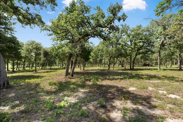 716 Cumley Ln, Thorndale, TX 76577 - photo 12