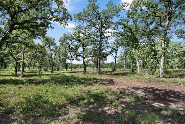716 Cumley Ln, Thorndale, TX 76577 - photo 16