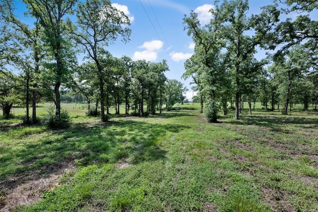 716 Cumley Ln, Thorndale, TX 76577 - photo 18
