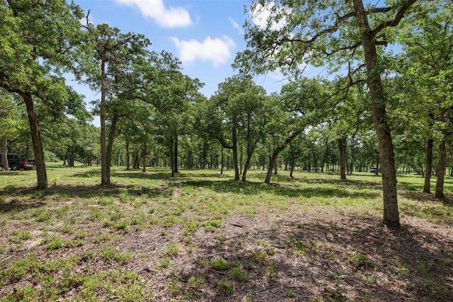 716 Cumley Ln, Thorndale, TX 76577 - photo 19