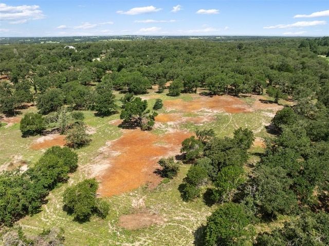 716 Cumley Ln, Thorndale, TX 76577 - photo 23
