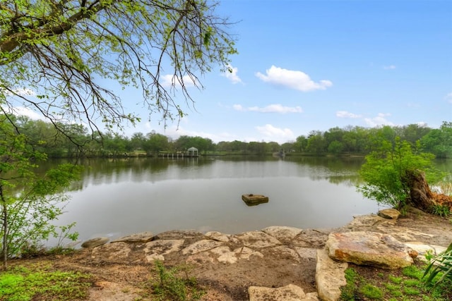 14401 Tiffer Ln, Austin, TX 78728 - photo 35