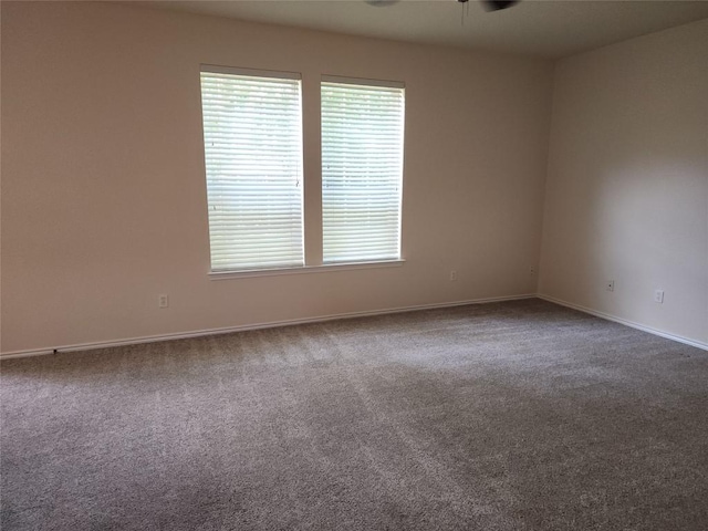 103 Hal Sutton Cv, Round Rock, TX 78664 - photo 8