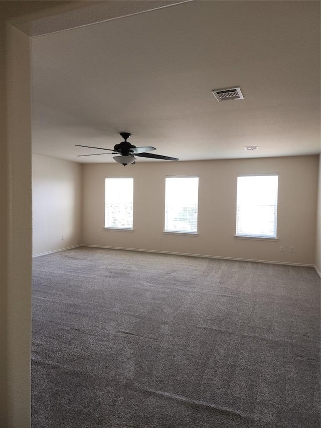 103 Hal Sutton Cv, Round Rock, TX 78664 - photo 12
