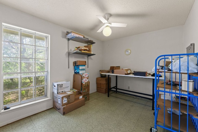 9005 Dorella Ln, Austin, TX 78736 - photo 20